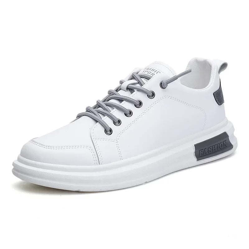 gid://shopify/MediaImage/24692164034654